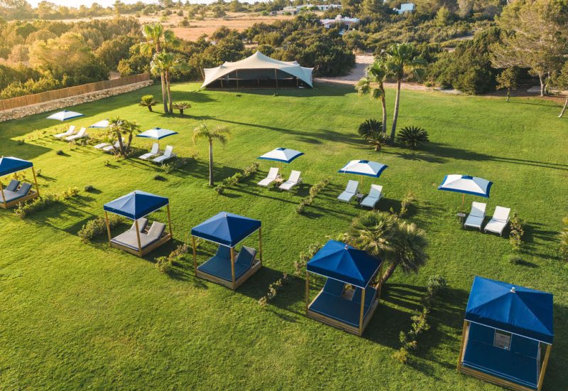 beachclub-gecko-5